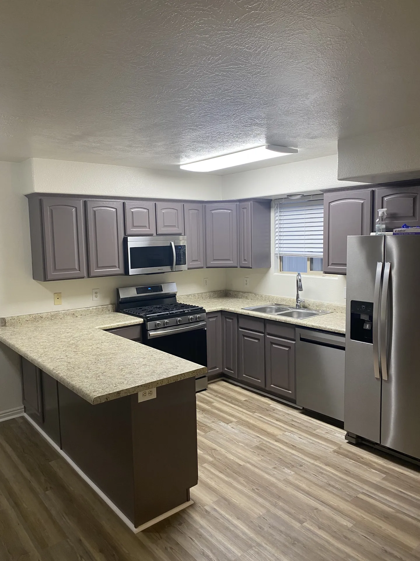 Viking Solutions — Full Apartment Remodel — St. George